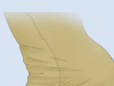 晚上吃什么不會胖