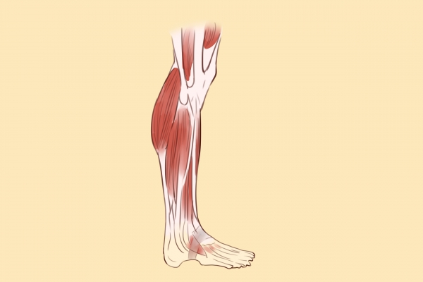 瘦小腿的方法有哪些