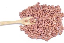 秋季胃不好怎么辦？多吃這些食物能養胃