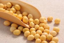 秋季養生吃什么？這3種豆類最適合