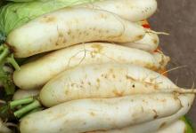 秋冬季節吃蘿卜 這些禁忌要遵守