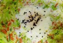 卷心菜烘蛋的做法-家常味煎菜譜