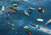 微膠粒可經空氣傳播 日常食材或受污染