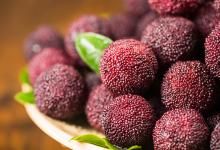 聽說“楊梅里有蛆蟲” 楊梅還能吃嗎？