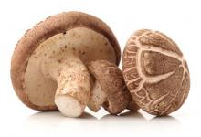 研究稱(chēng)每天吃85克洋菇可助預(yù)防糖尿病