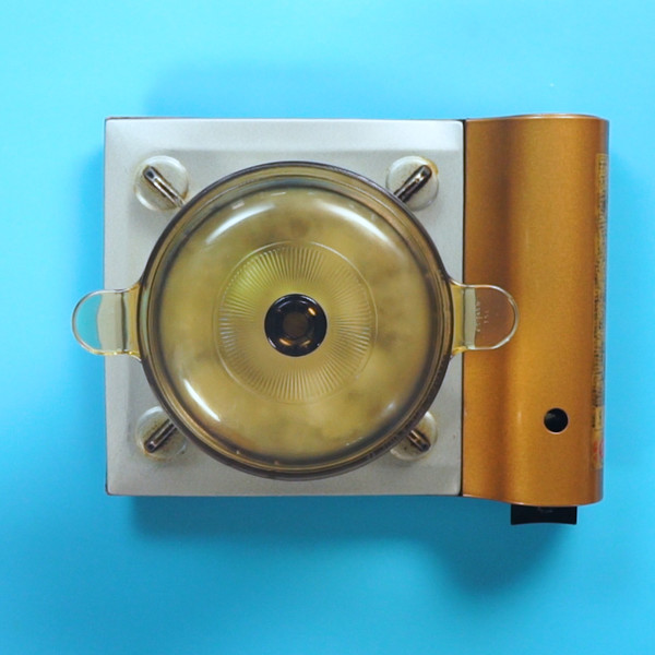 山藥排骨湯的做法-咸鮮味燉菜譜