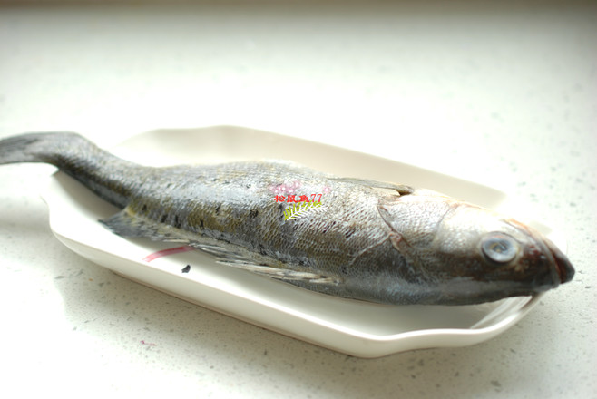 清蒸鱸魚的做法-家常味蒸菜譜-易網(wǎng)<a href=http://www.gyfww.com/ target=_blank class=infotextkey>健康養(yǎng)生</a>網(wǎng) 清蒸鱸魚的做法-家常味蒸菜譜