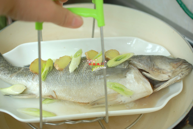 清蒸鱸魚的做法-家常味蒸菜譜-易網(wǎng)健康養(yǎng)生網(wǎng) 清蒸鱸魚的做法-家常味蒸菜譜