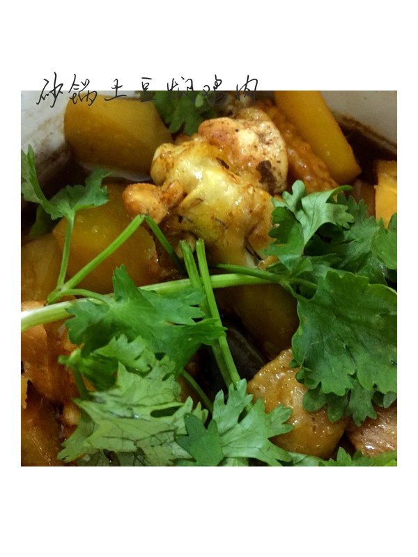 米飯的殺手～砂鍋土豆燜雞翅的做法-家常味燜菜譜