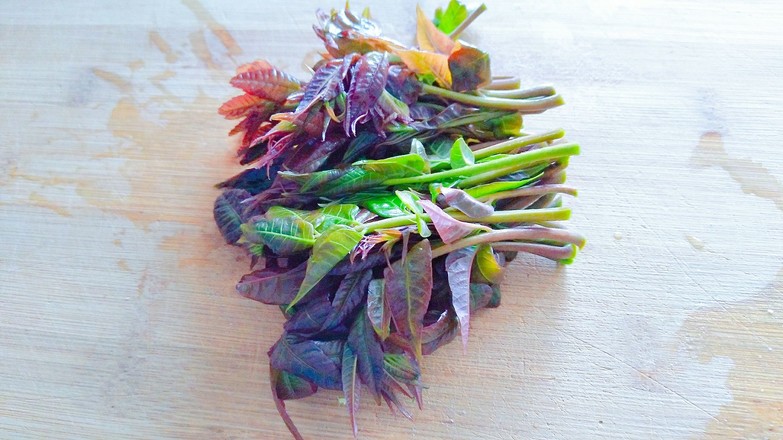 香椿拌豆腐的做法-咸鮮味拌菜譜-易網<a href=http://www.gyfww.com/ target=_blank class=infotextkey>健康養生</a>網 香椿拌豆腐的做法-咸鮮味拌菜譜