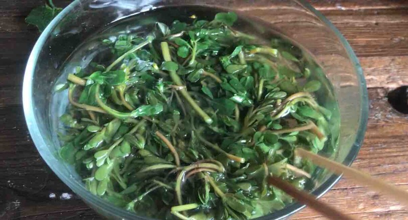 枸杞拌馬齒莧的做法-酸辣味拌菜譜-易網<a href=http://www.gyfww.com/ target=_blank class=infotextkey>健康養生</a>網 枸杞拌馬齒莧的做法-酸辣味拌菜譜