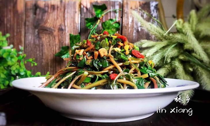 枸杞拌馬齒莧的做法-酸辣味拌菜譜-易網健康養生網 枸杞拌馬齒莧的做法-酸辣味拌菜譜
