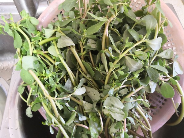 馬齒莧菜饃饃的做法-家常味蒸菜譜