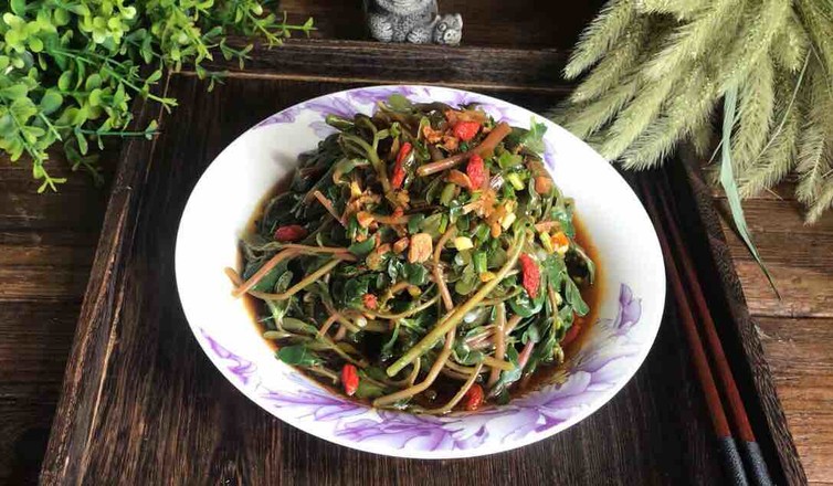 枸杞拌馬齒莧的做法-酸辣味拌菜譜-易網健康養生網 枸杞拌馬齒莧的做法-酸辣味拌菜譜