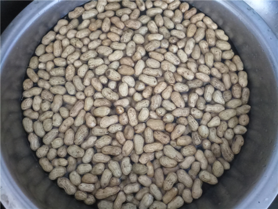 鹽水花生的做法-家常味煮菜譜