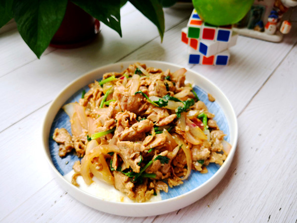 孜然肉片的做法-其它口味炒菜譜-易網(wǎng)健康養(yǎng)生網(wǎng) 孜然肉片的做法-其它口味炒菜譜