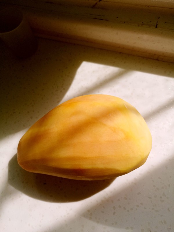 雞翅燒木瓜的做法-其它口味燒菜譜