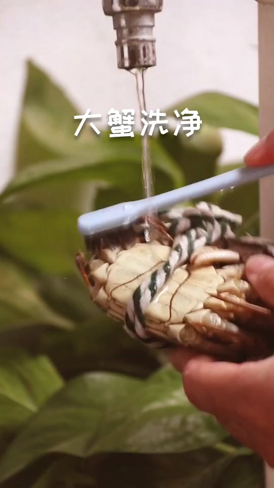 清蒸大閘蟹的做法-咸鮮味蒸菜譜