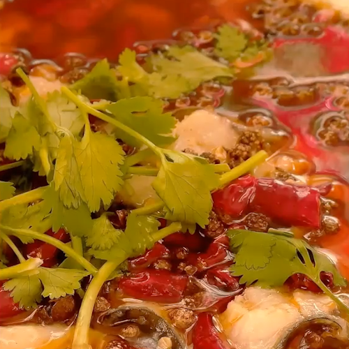 水煮魚片的做法-家常味炒菜譜