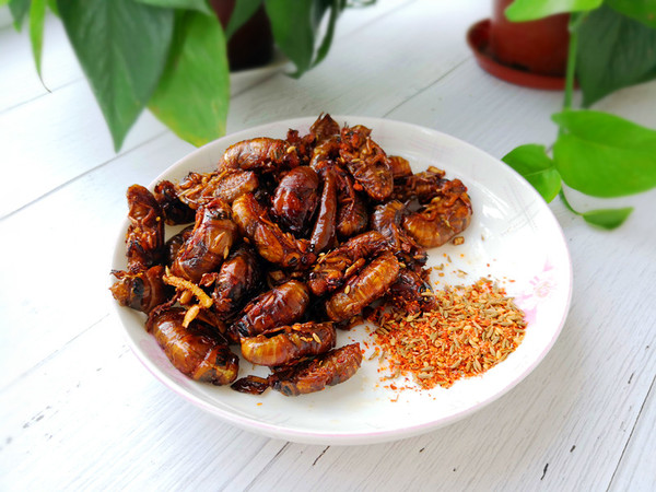 煎金蟬的做法-家常味煎菜譜-易網健康養生網 煎金蟬的做法-家常味煎菜譜