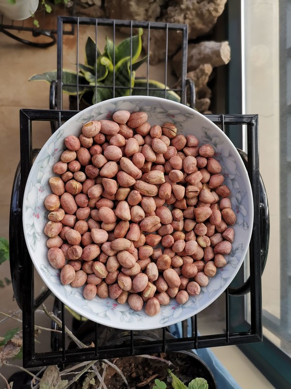 快手無油烤花生的做法-家常味烤菜譜