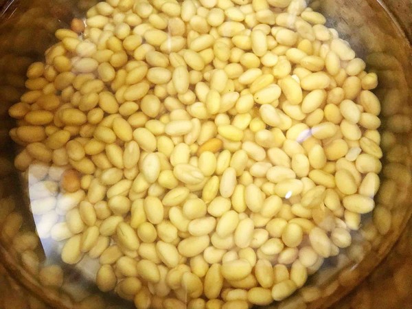 黃豆悶豬蹄的做法-家常味燒菜譜