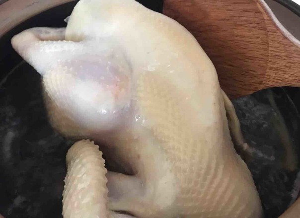 廣東家常白切雞的做法-家常味凍菜譜