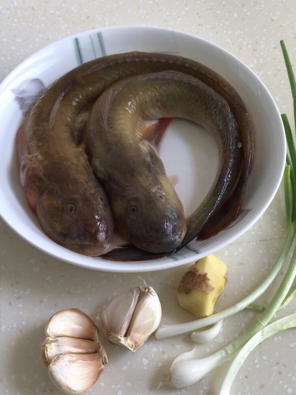 醬油水海蠣魚的做法-咸鮮味煮菜譜