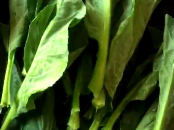 香菇炒芥蘭的做法-家常味炒菜譜