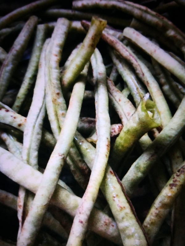 醬湯豇豆的做法-家常味燒菜譜