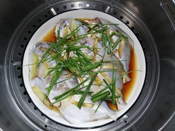 清蒸金昌魚的做法-咸鮮味蒸菜譜-易網健康養生網 清蒸金昌魚的做法-咸鮮味蒸菜譜