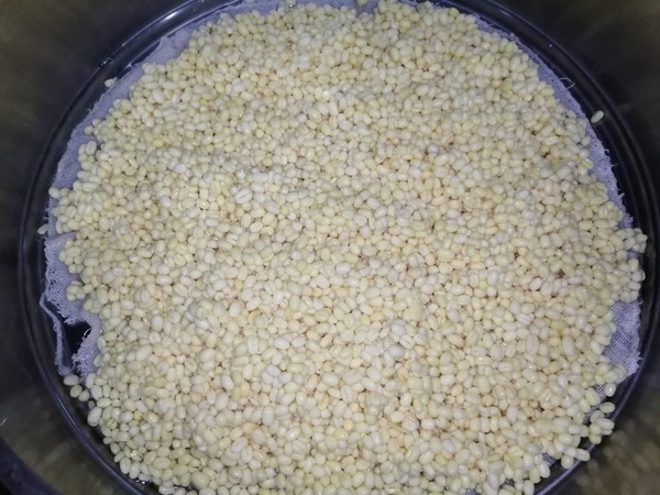 綠豆沙餡的做法-甜味炒菜譜