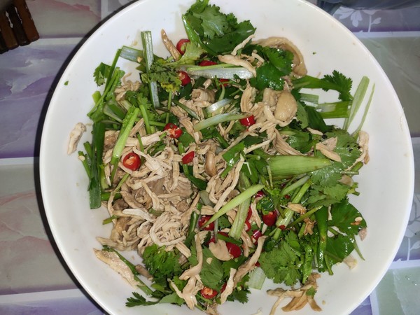 油茶籽油拌雞絲的做法-麻辣味拌菜譜-易網(wǎng)健康養(yǎng)生網(wǎng) 油茶籽油拌雞絲的做法-麻辣味拌菜譜