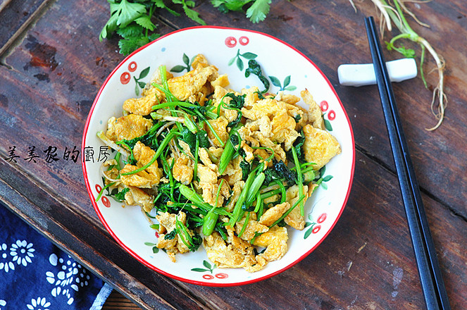 雞蛋炒香菜的做法-家常味炒菜譜-易網健康養生網 雞蛋炒香菜的做法-家常味炒菜譜