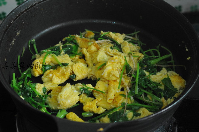 雞蛋炒香菜的做法-家常味炒菜譜-易網健康養生網 雞蛋炒香菜的做法-家常味炒菜譜