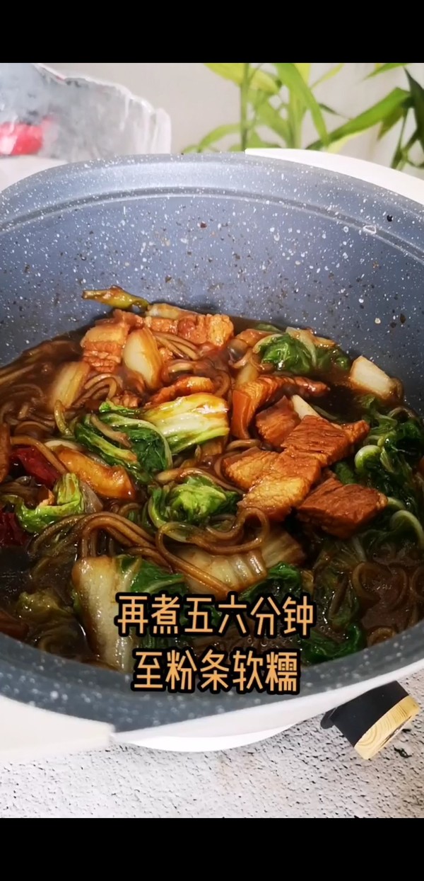 豬肉白菜燉粉條的做法-咸鮮味燉菜譜