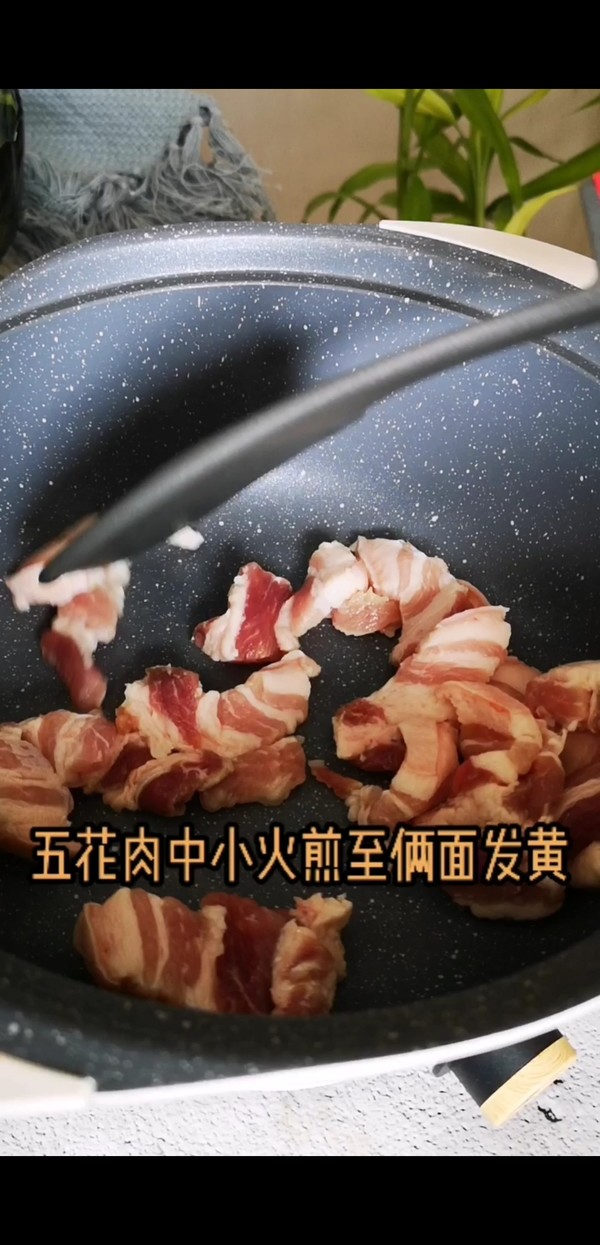 豬肉白菜燉粉條的做法-咸鮮味燉菜譜