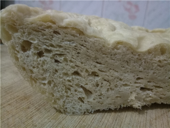 簡單自制面筋 （發酵法）的做法-家常味蒸菜譜