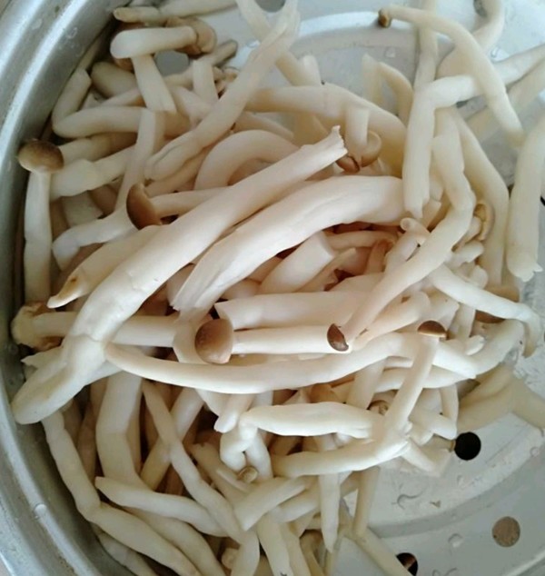 滑菇炒肉的做法-家常味炒菜譜