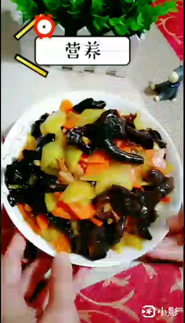 燒木耳的做法-家常味燒菜譜