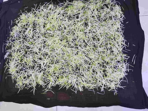 熗拌白蘿卜絲的做法-家常味拌菜譜