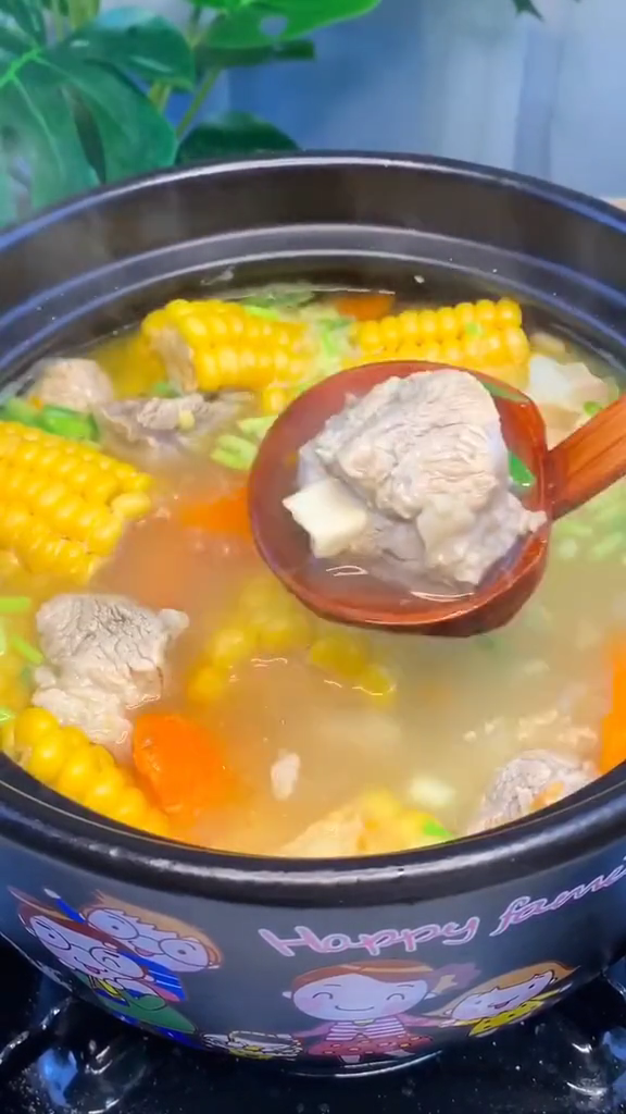 胡蘿卜玉米排骨湯的做法-咸鮮味煮菜譜