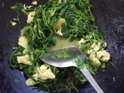 菠菜炒雞蛋的做法-家常味炒菜譜