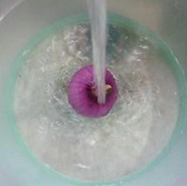 黑木耳洋蔥炒小油方的做法-家常味炒菜譜