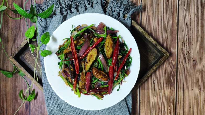 干煸蠶蛹的做法-香辣味炒菜譜