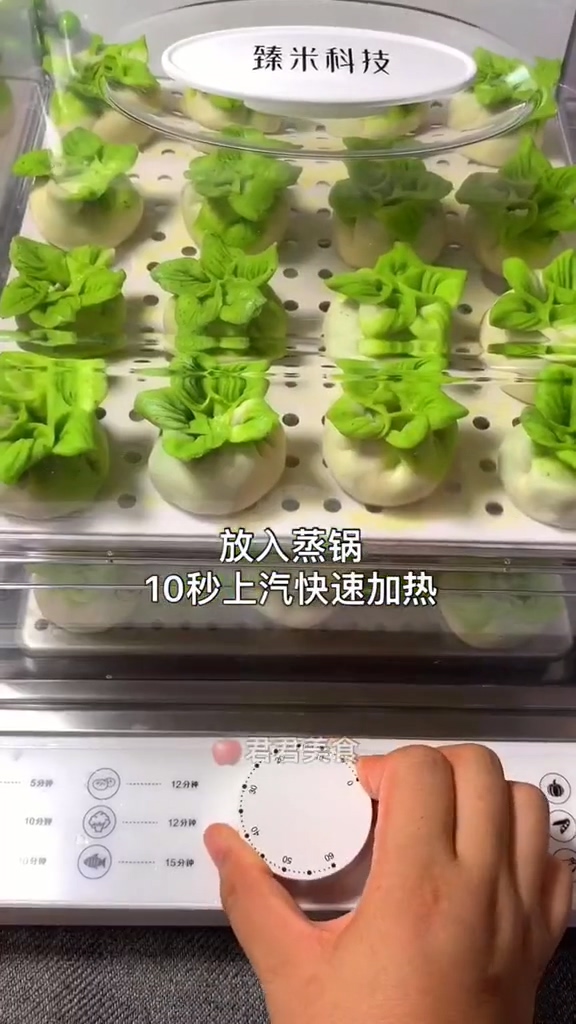 白菜蒸餃的做法-家常味蒸菜譜