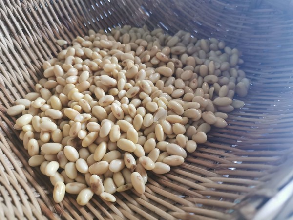 麻辣豆的做法-麻辣味炒菜譜