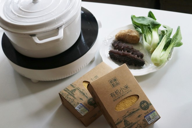 金湯小米海參的做法-咸鮮味煮菜譜