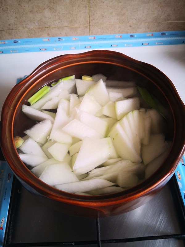 冬瓜羊肉蘑菇湯的做法-家常味煮菜譜