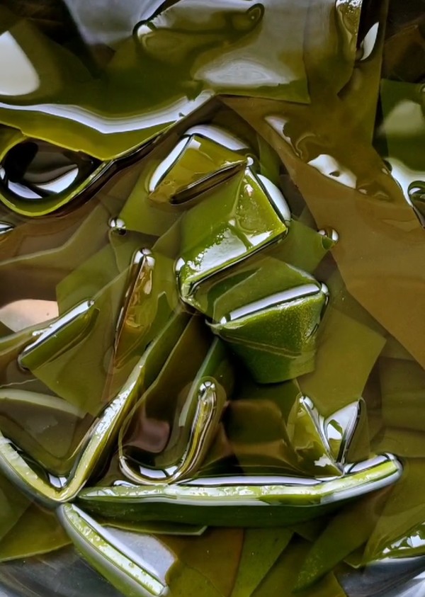 毛血旺的做法-麻辣味煮菜譜